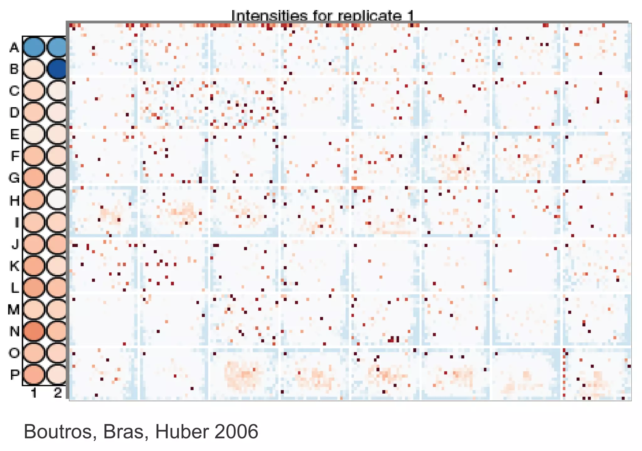 Boutros, Bras, Huber 2006 