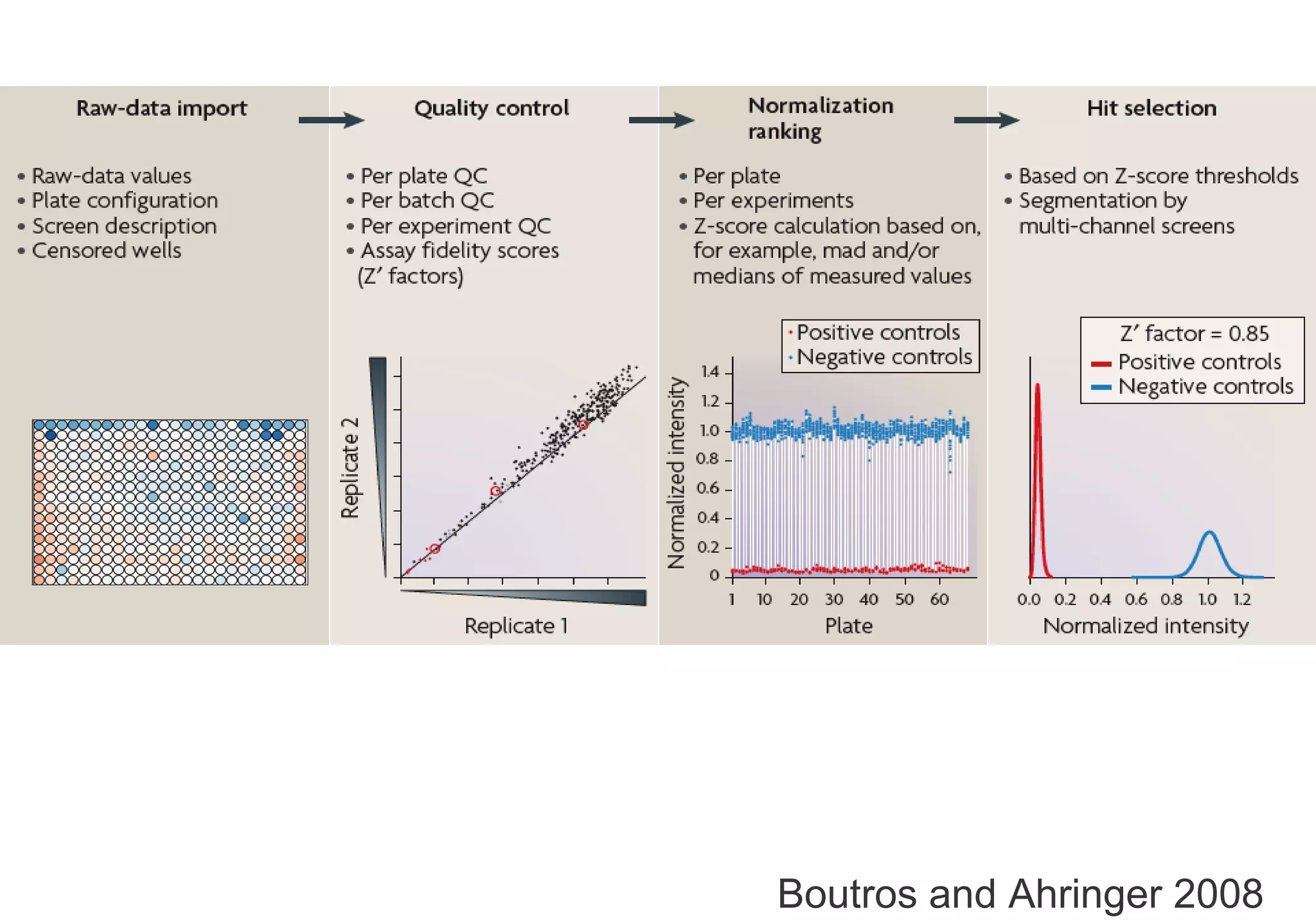 Boutros and Ahringer 2008 