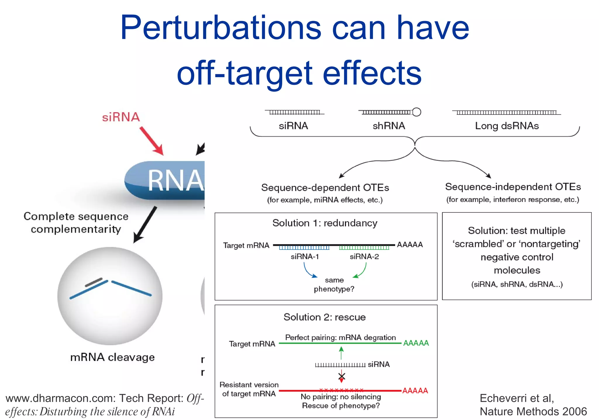 Perturbations can have  off-target effects www.dharmacon.com: Tech Report:  Off-target effects: Disturbing the silence of RNAi Echeverri et al,  Nature Methods 2006 