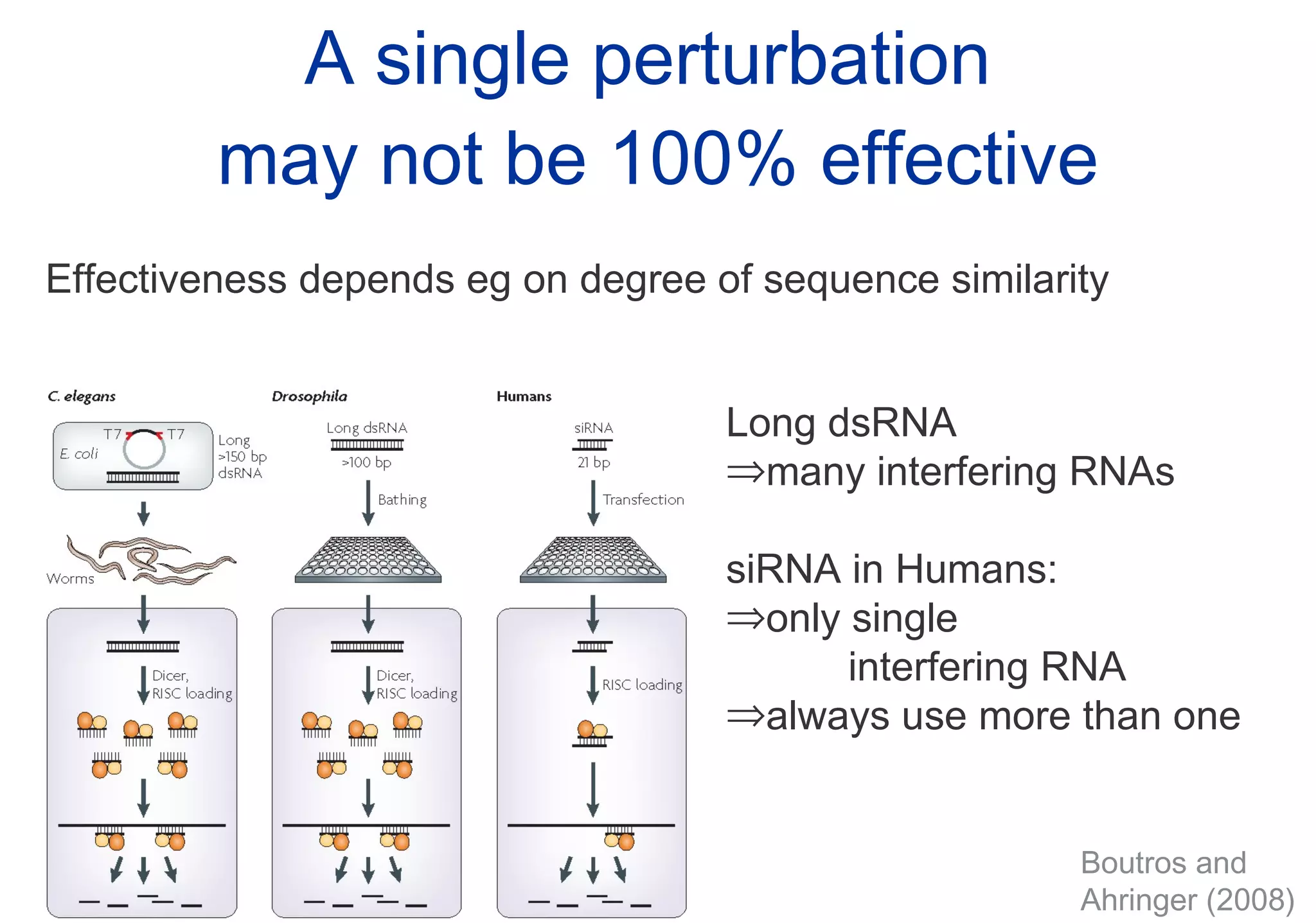A single perturbation  may not be 100% effective Boutros and  Ahringer (2008) Effectiveness depends eg on degree of sequence similarity Long dsRNA  many interfering RNAs siRNA in Humans: only single  interfering RNA always use more than one 
