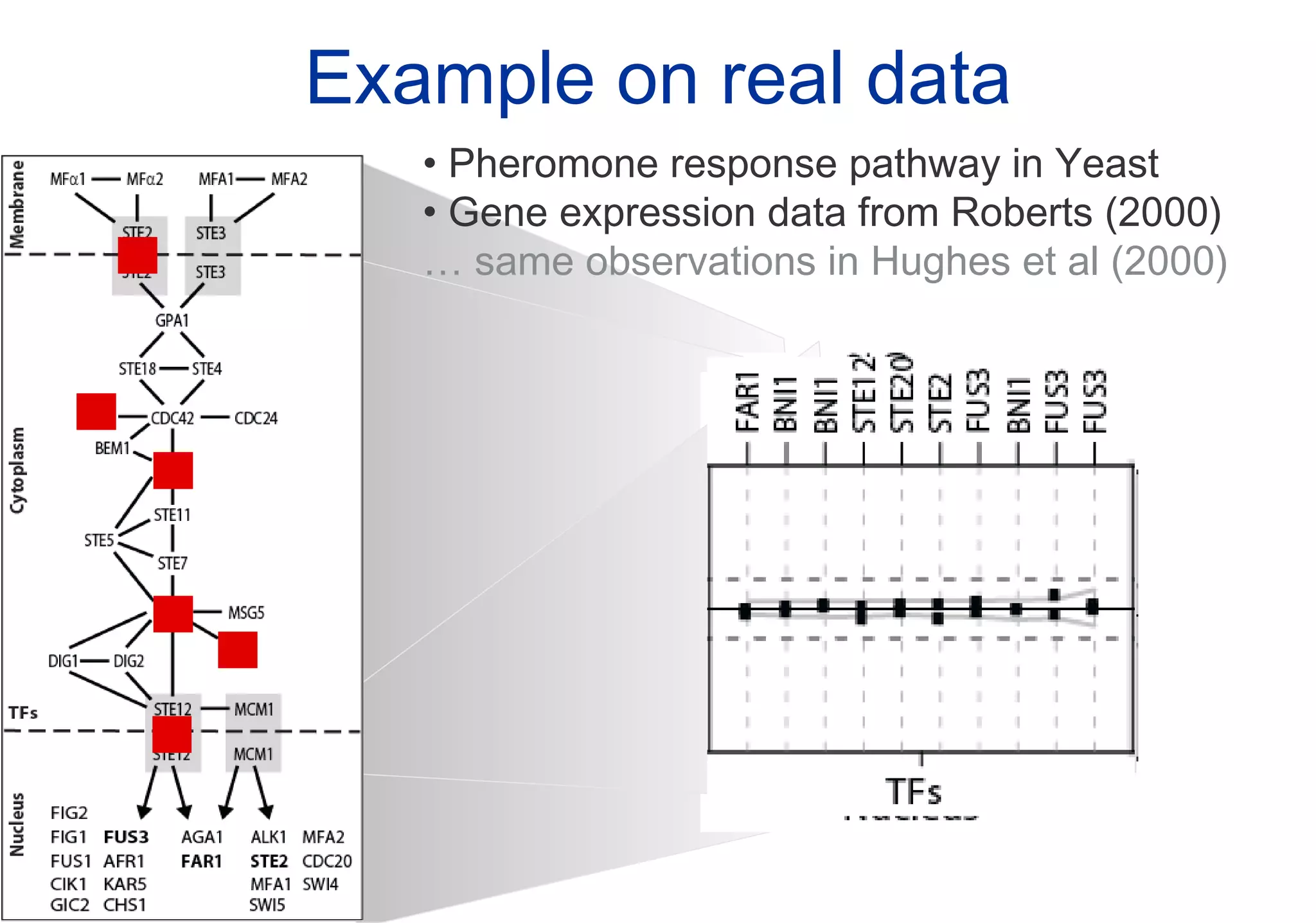 Example on real data Pheromone response pathway in Yeast Gene expression data from Roberts (2000) …  same observations in Hughes et al (2000) 
