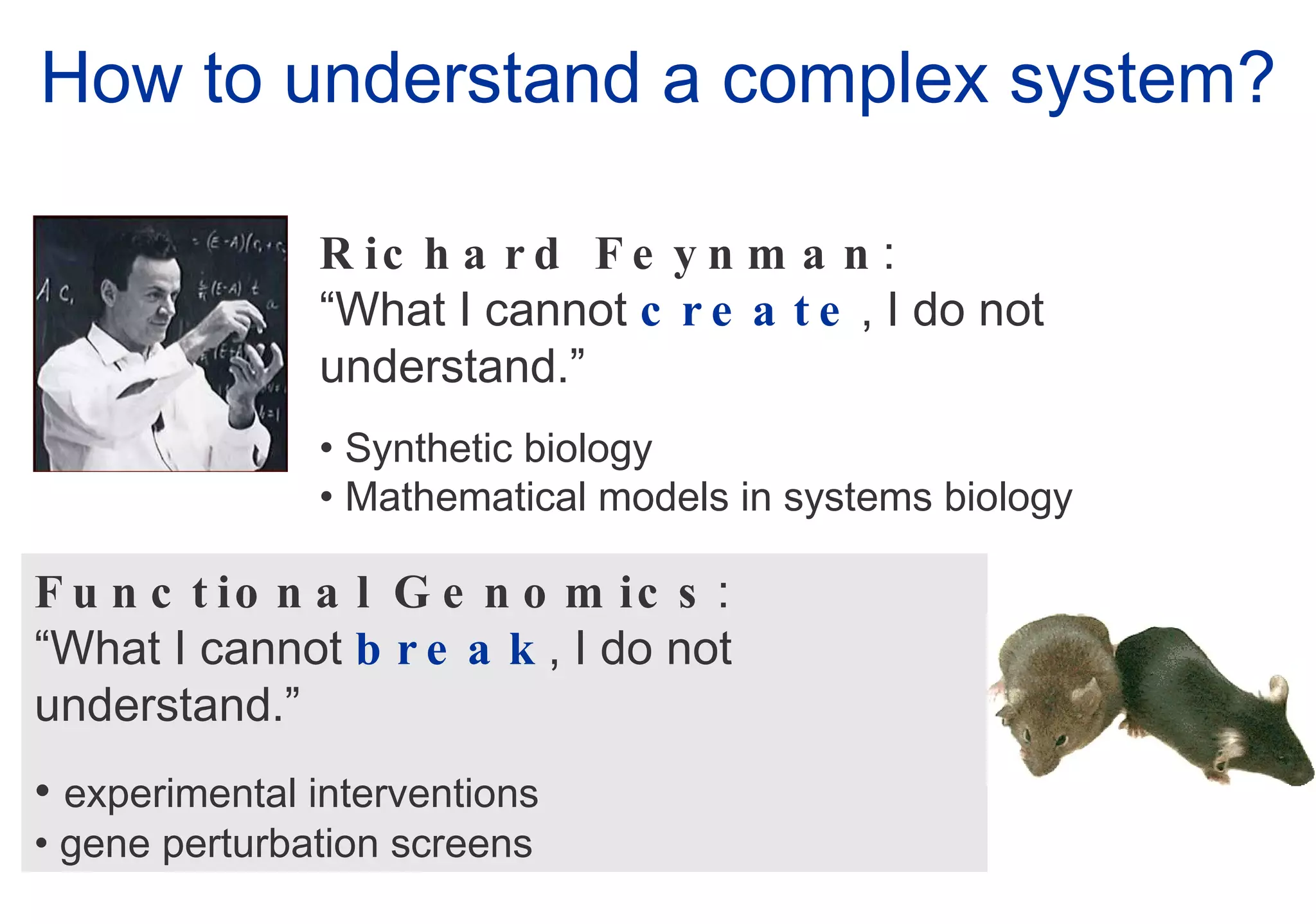 How to understand a complex system? Functional Genomics : “ What I cannot  break , I do not understand.” experimental interventions  gene perturbation screens Richard Feynman : “ What I cannot  create , I do not understand.” Synthetic biology Mathematical models in systems biology 