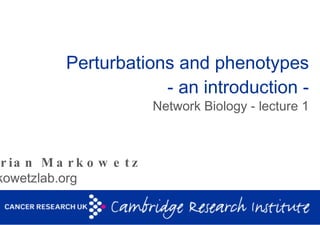 Perturbations and phenotypes - an introduction - Network Biology - lecture 1 