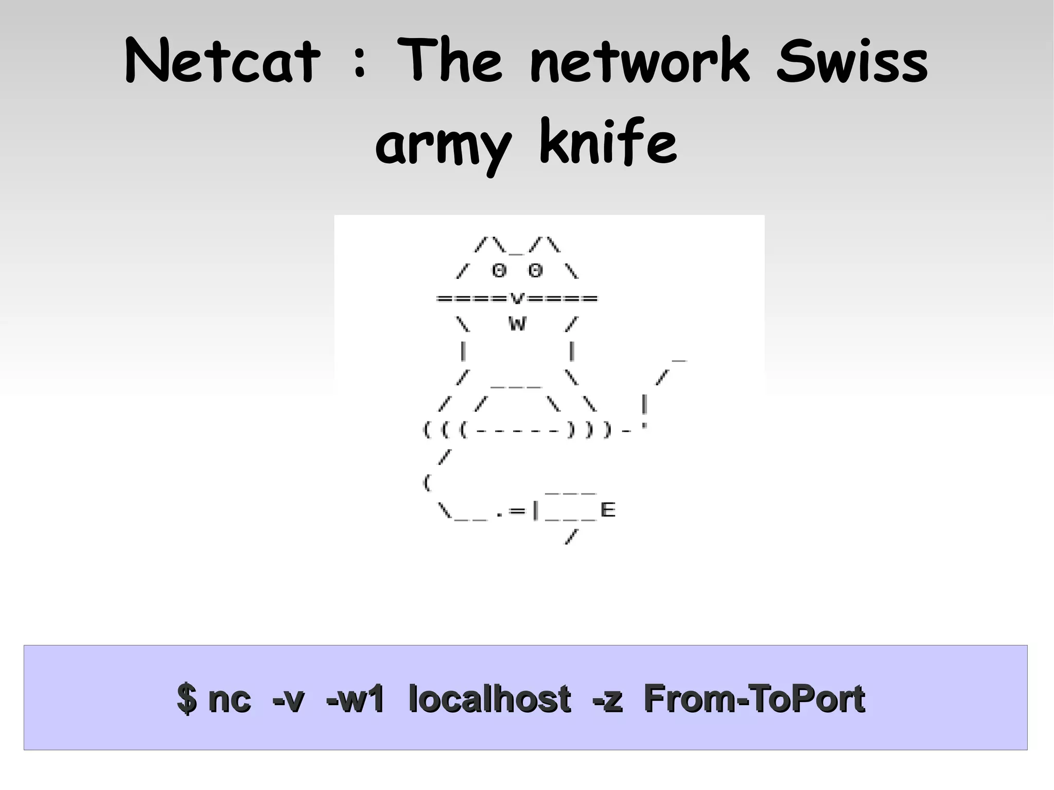 Netcat : The network Swiss
        army knife




 $ nc -v -w1 localhost -z From-ToPort
 