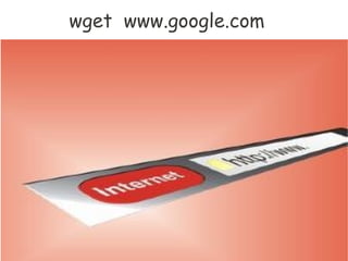 wget www.google.com
 