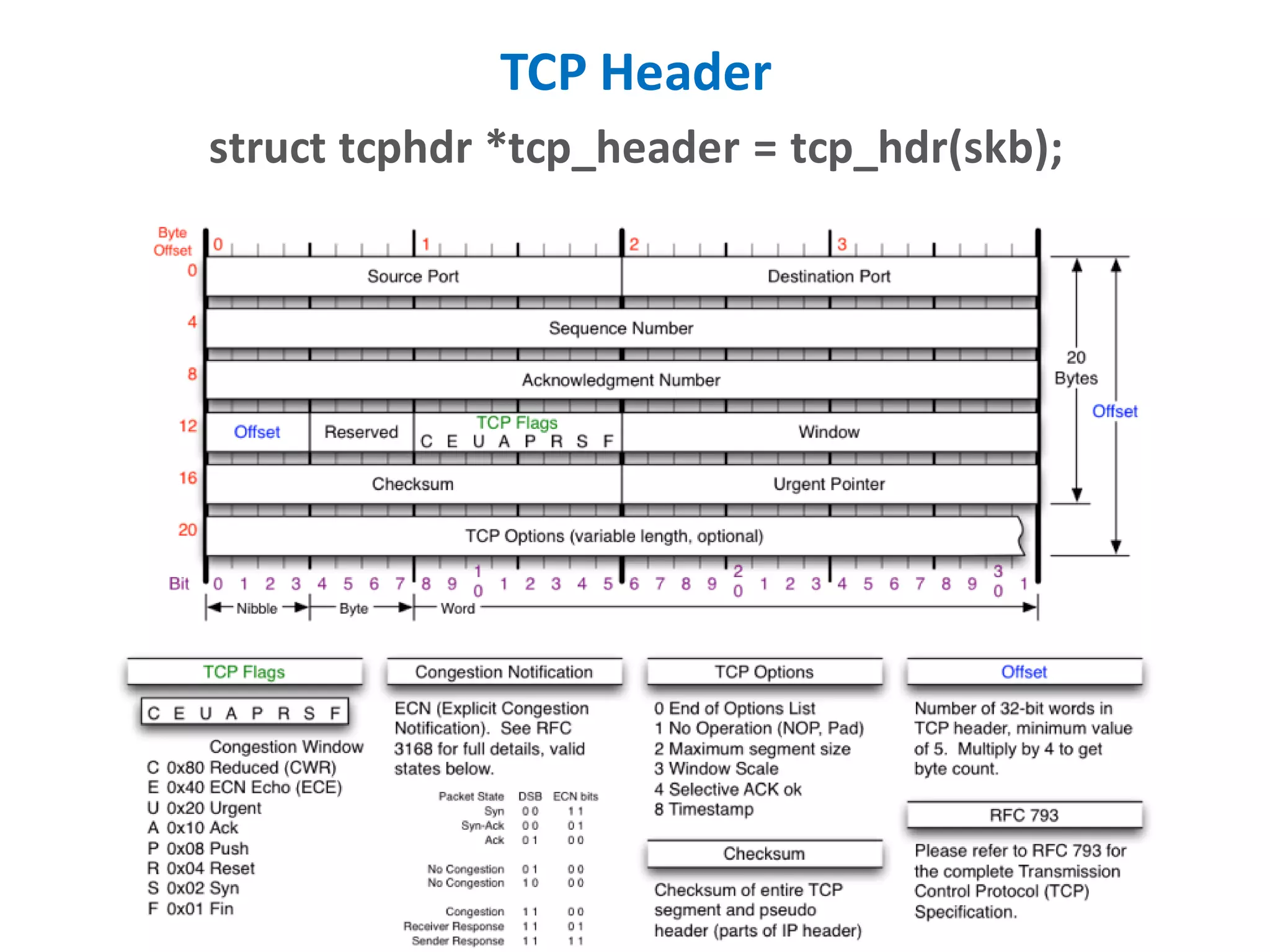 TCP Header
struct tcphdr *tcp_header = tcp_hdr(skb);
 