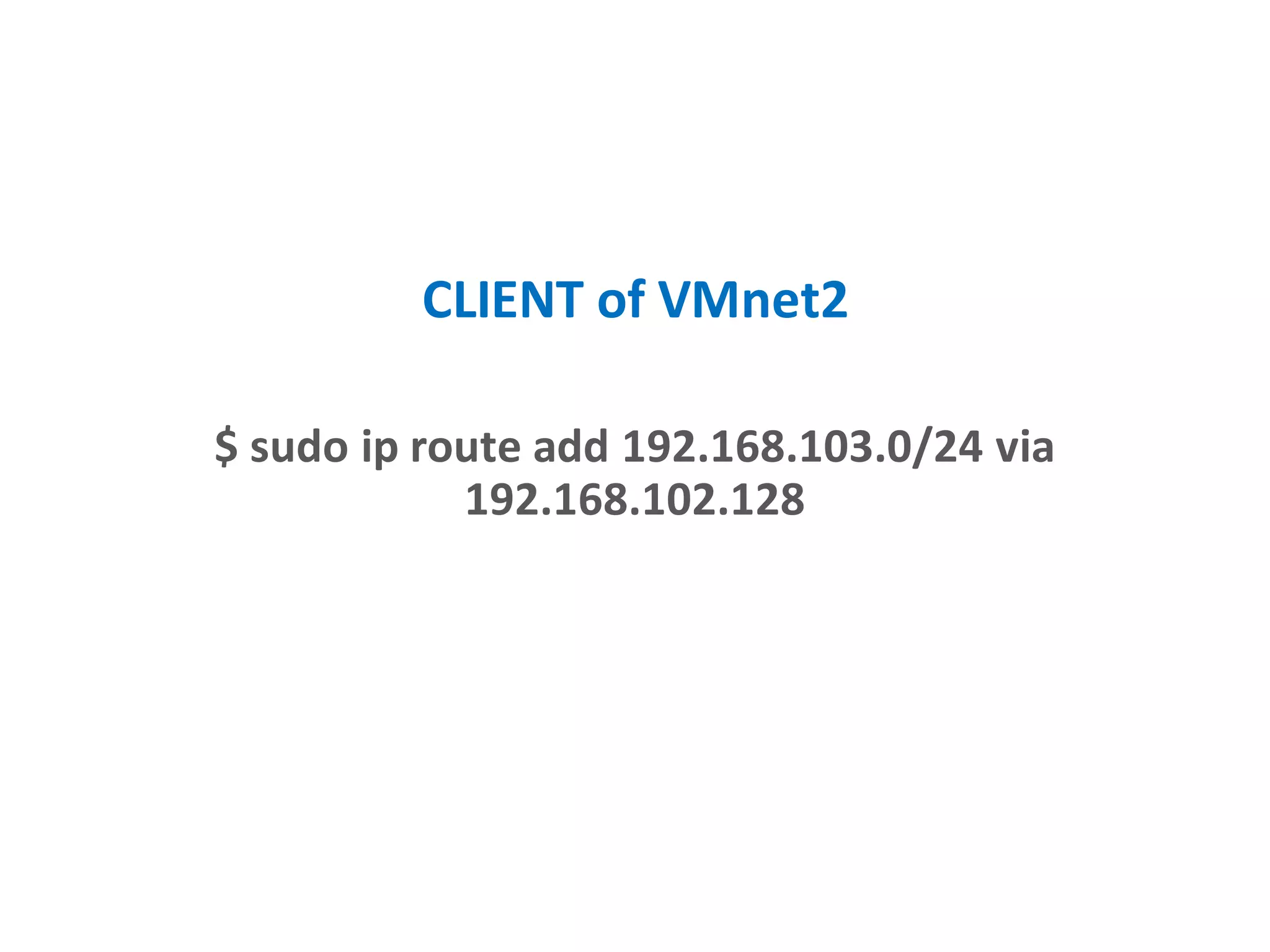 CLIENT of VMnet2
$ sudo ip route add 192.168.103.0/24 via
192.168.102.128
 