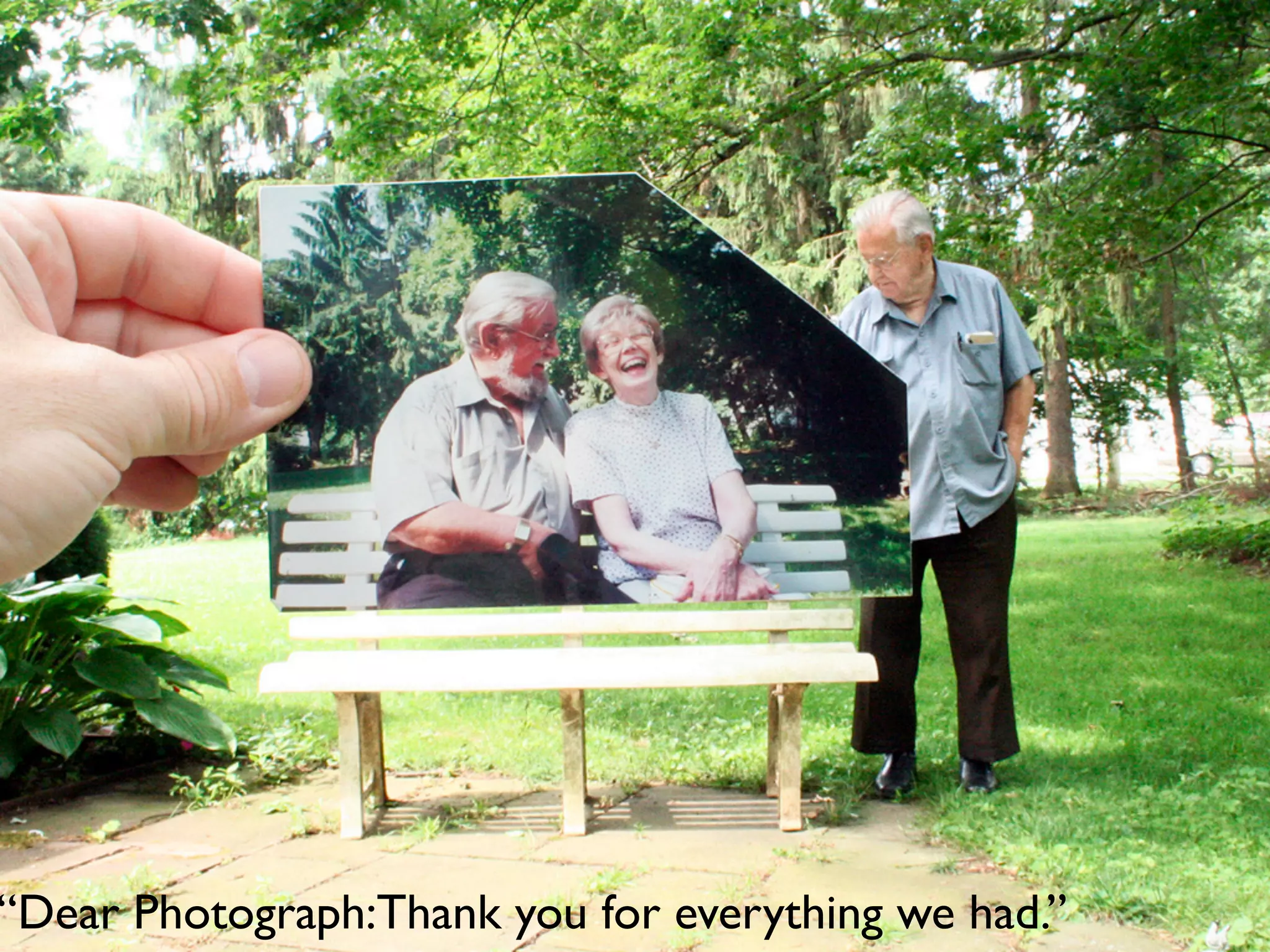 “Dear Photograph:Thank you for everything we had.”
 