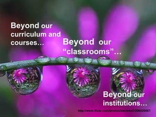 Beyond  our curriculum and courses… http://www.flickr.com/photos/stevewall/206426067 / Beyond   our “classrooms”… Beyond  our institutions… 