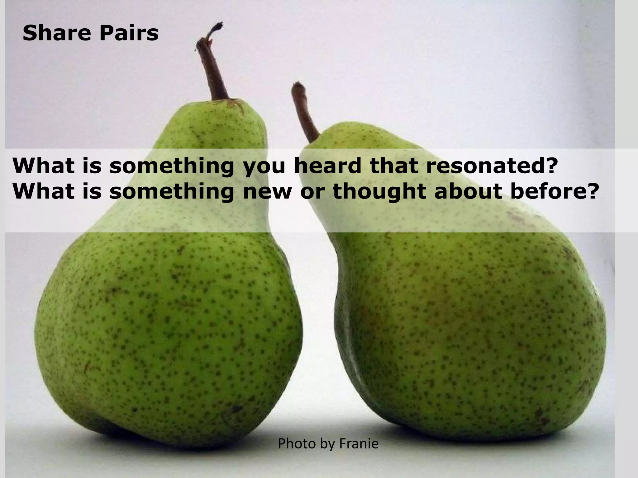 What is the Networked Nonprofit?