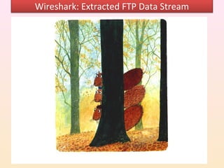 Wireshark: Extracted FTP Data Stream
 