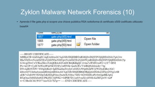 Zyklon Malware Network Forensics (10)
• Aprendo il file gate.php si scopre una chiave pubblica RSA sottoforma di certificato x509 codificato utilizzato
base64
 