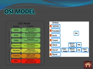 OSI MODEL
 