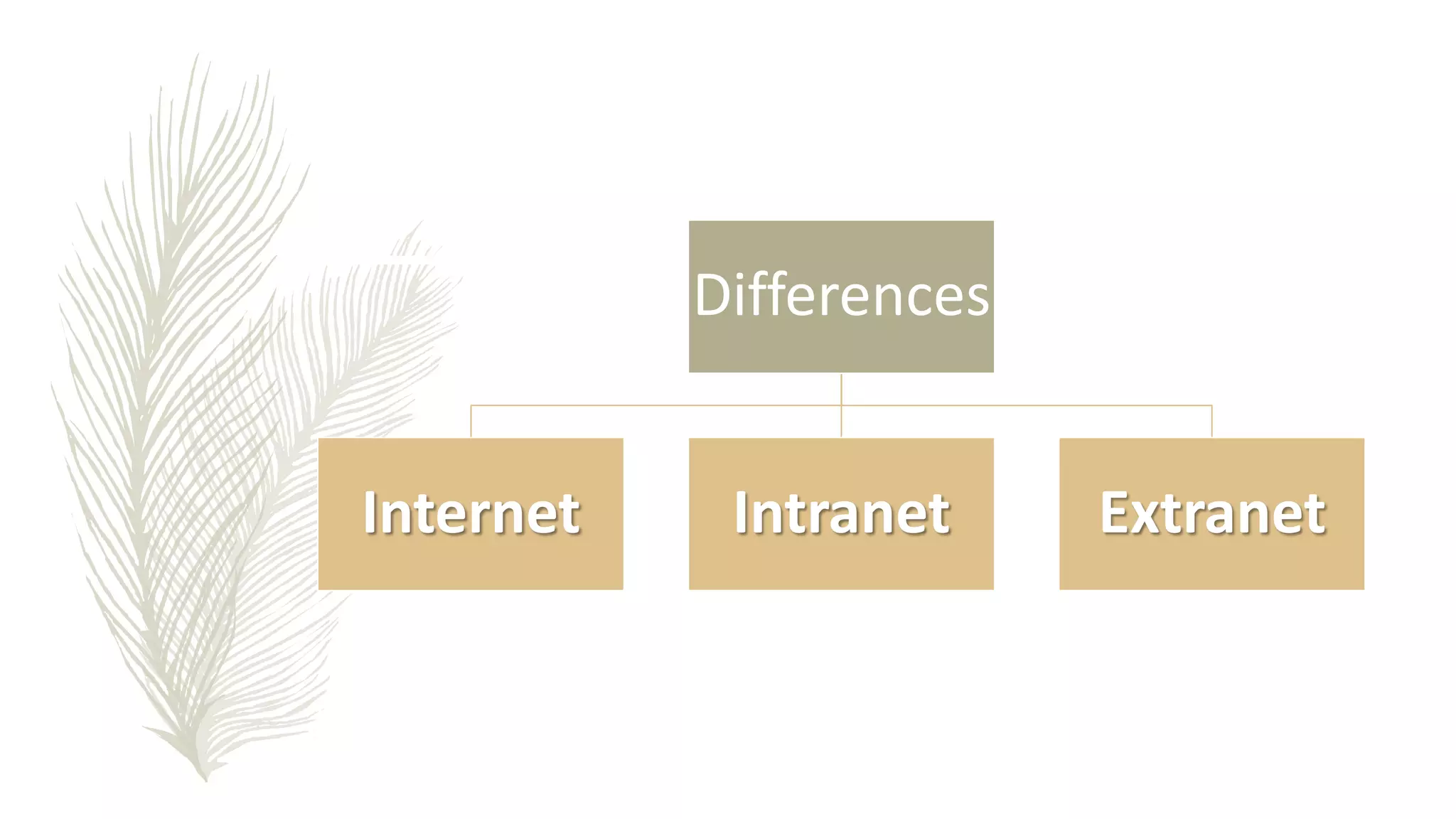 Differences
Internet Intranet Extranet
 