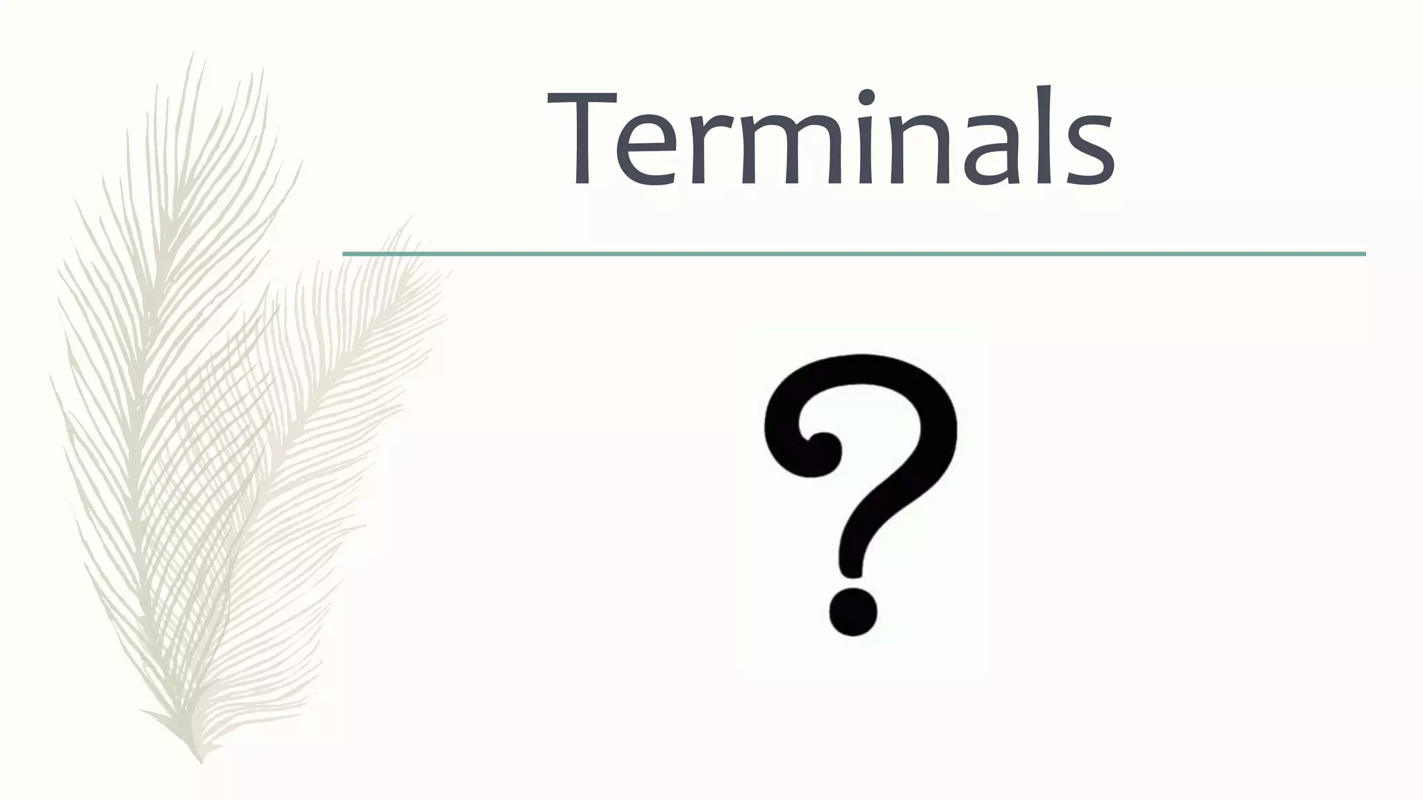 Terminals
 