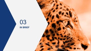 IN BRIEF
03
 