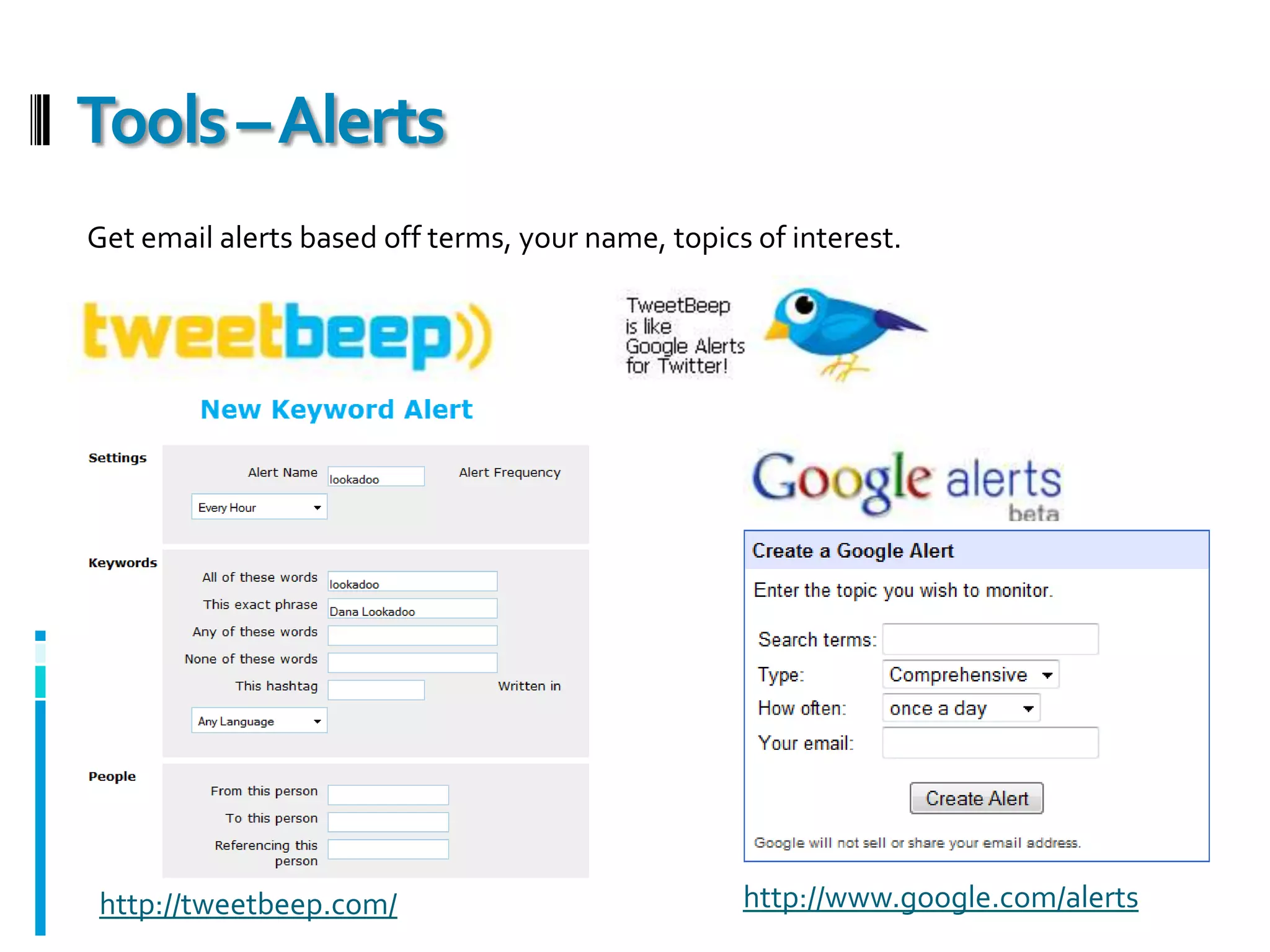 Establish your Brand