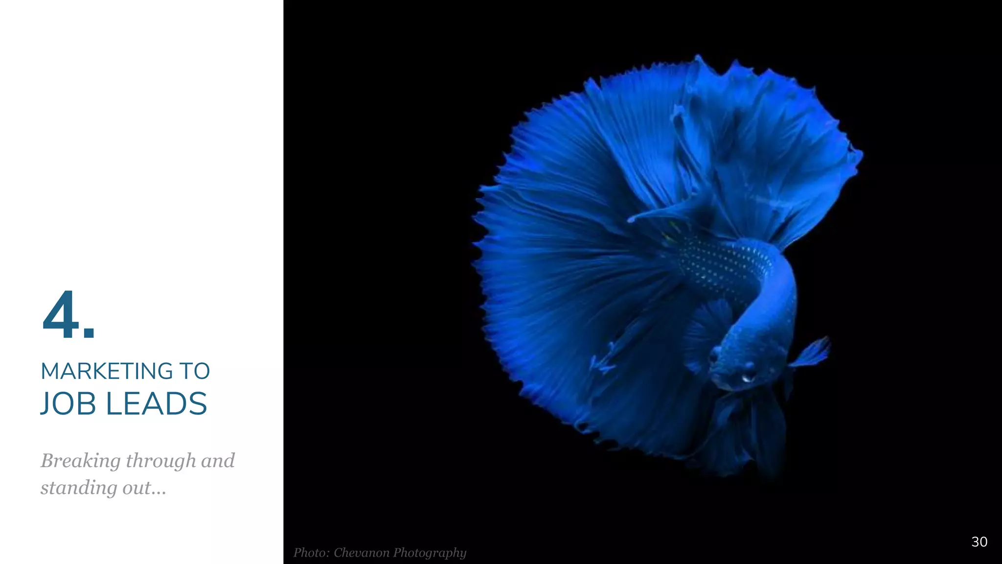 4.
MARKETING TO
JOB LEADS
Breaking through and
standing out…
30
Photo: Chevanon Photography
 