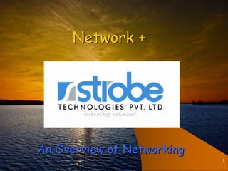 1
Network +
An Overview of Networking
 