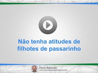 Não tenha atitudes de
filhotes de passarinho
 