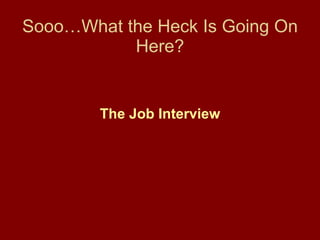 Sooo…What the Heck Is Going On Here? The Job Interview 