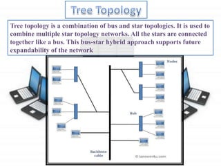 Three Topologies Networking Fundamentals | PPTX