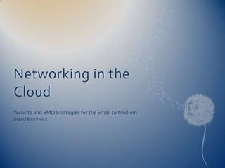 Networking in the
Cloud
Website and SMO Strategies for the Small to Medium
Sized Business
 