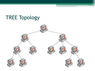 TREE Topology
 