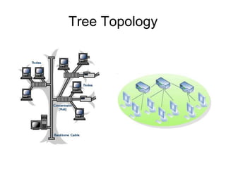 Tree Topology

 