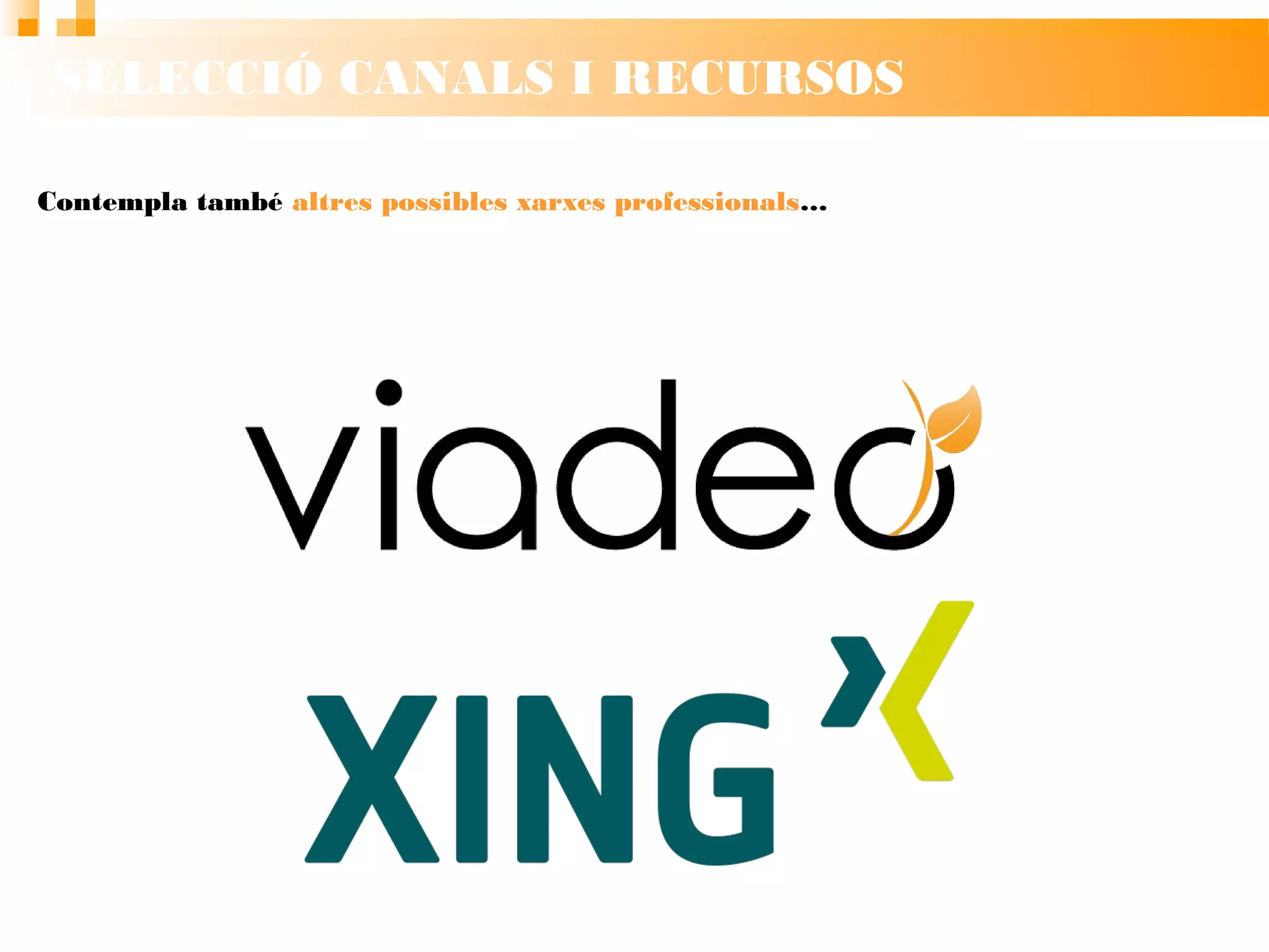 SELECCIÓ CANALS I RECURSOS
Contempla també altres possibles
xarxes professionals…
 