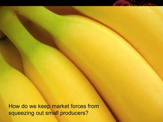 How do we keep market forces from
squeezing out small producers?
 