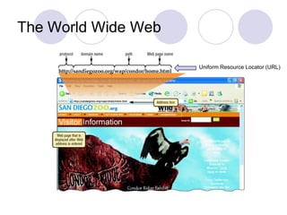 The World Wide WebUniform Resource Locator (URL)