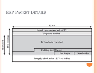 Security Packets Network IP Security.pdf