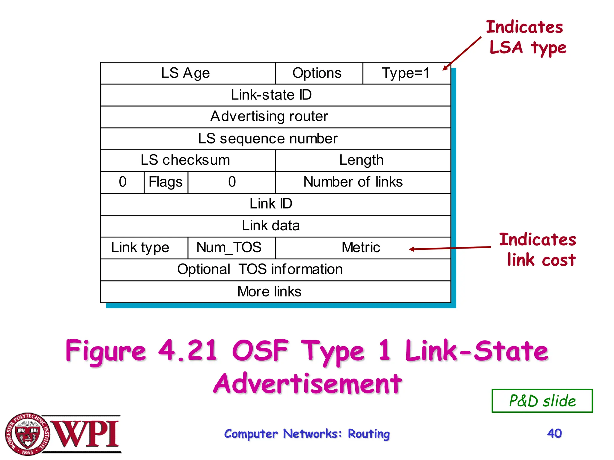 Computer Networks: Routing 40
Figure 4.21 OSF Type 1 Link-State
Advertisement
LS Age Options Type=1
0 Flags 0 Number of links
Link type Num_TOS Metric
Link-state ID
Advertising router
LS sequence number
Link ID
Link data
Optional TOS information
More links
LS checksum Length
P&D slide
Indicates
LSA type
Indicates
link cost
 