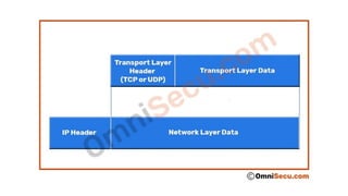 Network layer. IP Addressing Part 1.pptx