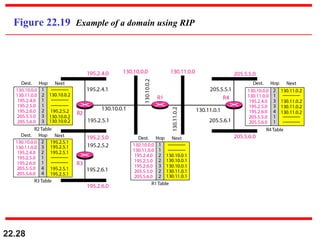 22.28
Figure 22.19 Example of a domain using RIP
 