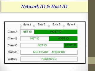 Network layer logical addressing | PDF
