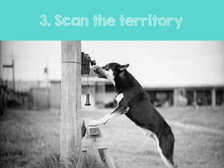 3. Scan the territory
 