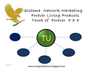 13/03/11 TU Sistema  Network Marketing  Forever Living Products Touch of  Forever  5 X 5 www.minegocioforever.blogspot.com 