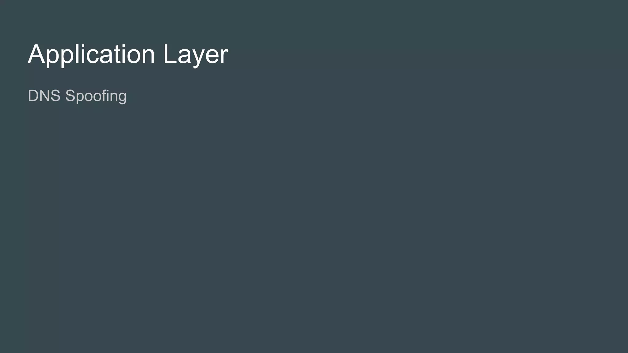 Application Layer
● DNS Spoofing
● Injection Attacks
● Browser Exploitation
● Brute Force Attacks
 