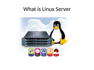 What is Linux Server
 