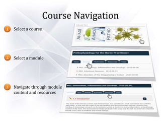 Course Navigation
Select a course
Select a module
Navigate through module
content and resources
1
2
3
 