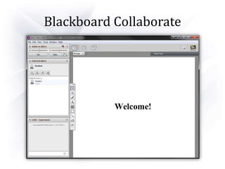 Blackboard Collaborate
 