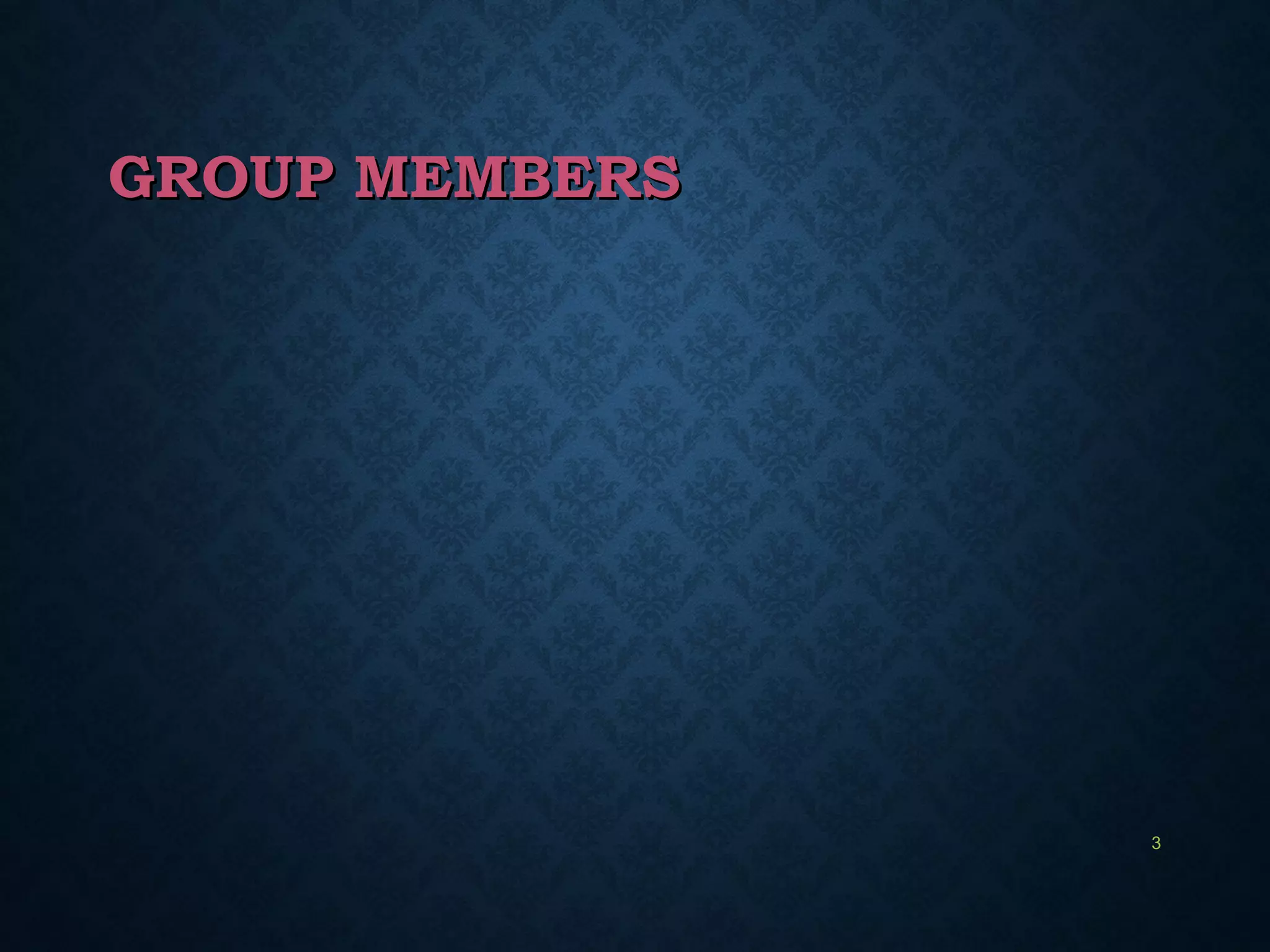 GROUP MEMBERSGROUP MEMBERS
3
 