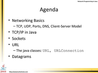 Agenda Networking Basics TCP, UDP, Ports, DNS, Client-Server Model TCP/IP in Java Sockets URL The java classes:  URL, URLConnection Datagrams 