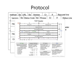 Protocol 
 