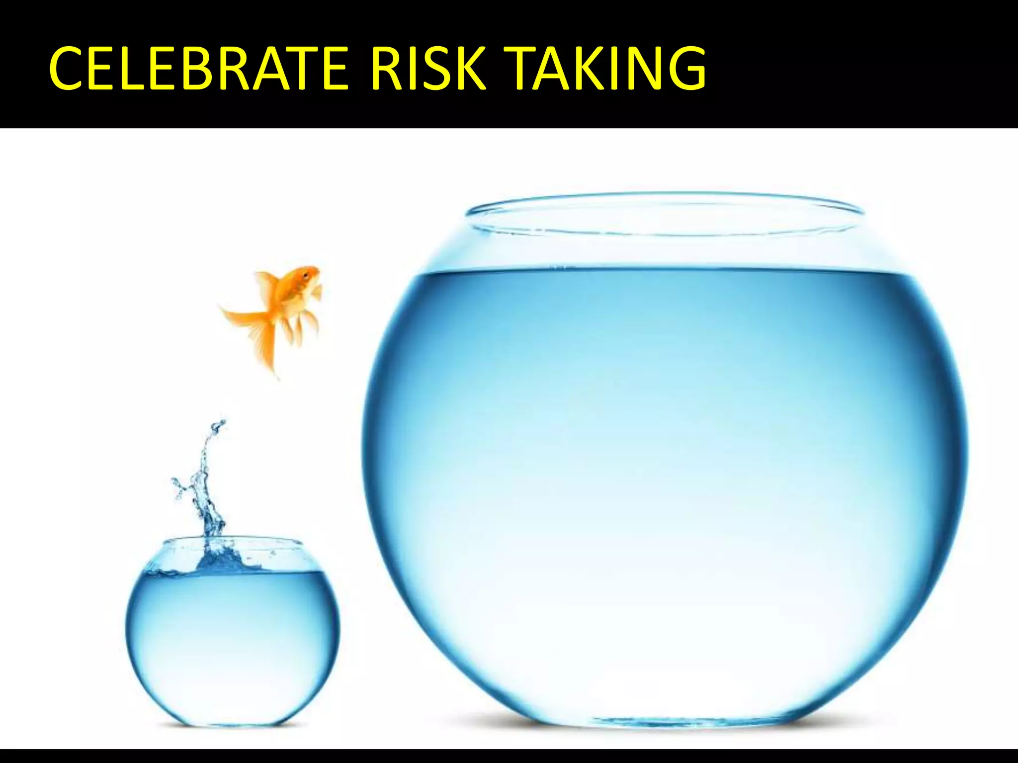 What Does Support Look Like?CELEBRATE RISK TAKING
 