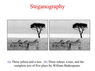 Steganography
(a) Three zebras and a tree. (b) Three zebras, a tree, and the
complete text of five plays by William Shakespeare.
 