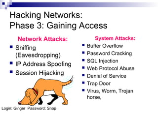 Hacking Networks:
Phase 3: Gaining Access
Network Attacks:
 Sniffing
(Eavesdropping)
 IP Address Spoofing
 Session Hijacking
System Attacks:
 Buffer Overflow
 Password Cracking
 SQL Injection
 Web Protocol Abuse
 Denial of Service
 Trap Door
 Virus, Worm, Trojan
horse,
Login: Ginger Password: Snap
 