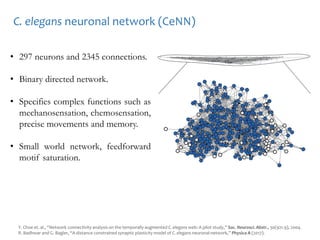• 297 neurons and 2345 connections.
• Binary directed network.
• Specifies complex functions such as
mechanosensation, chemosensation,
precise movements and memory.
• Small world network, feedforward
motif saturation.
Y. Choe et. al., “Network connectivity analysis on the temporally augmented C. elegans web: A pilot study,” Soc. Neurosci. Abstr., 30(921.9), 2004.
R. Badhwar and G. Bagler, “A distance constrained synaptic plasticity model of C. elegans neuronal network,” Physica A (2017).
C. elegans neuronal network (CeNN)
 